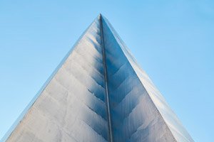 Founders and senior professionals in services-led roles